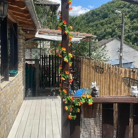 The Base- Balance Hub *