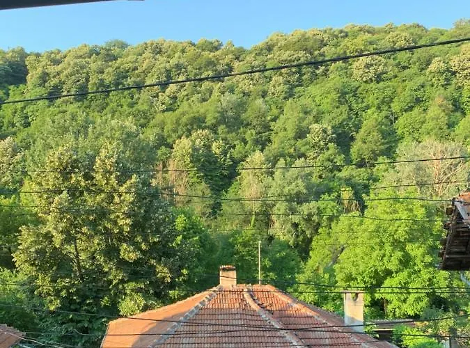 The Base- Balance Hub Gæstehus *